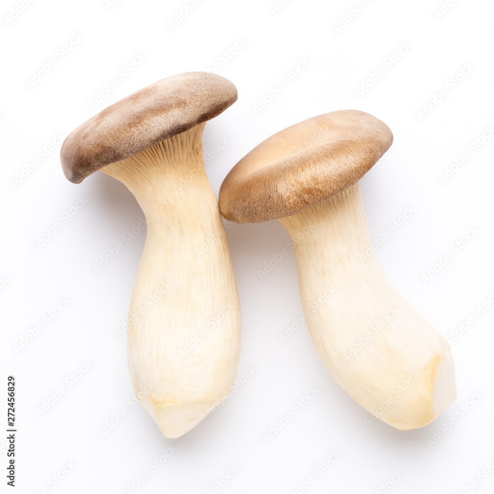 King oyster mushroom on white background. King oyster mushroom on white background.