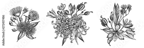 Flower bouquet of black and white japanese chrysanthemum, blackberry lily, eucalyptus flower