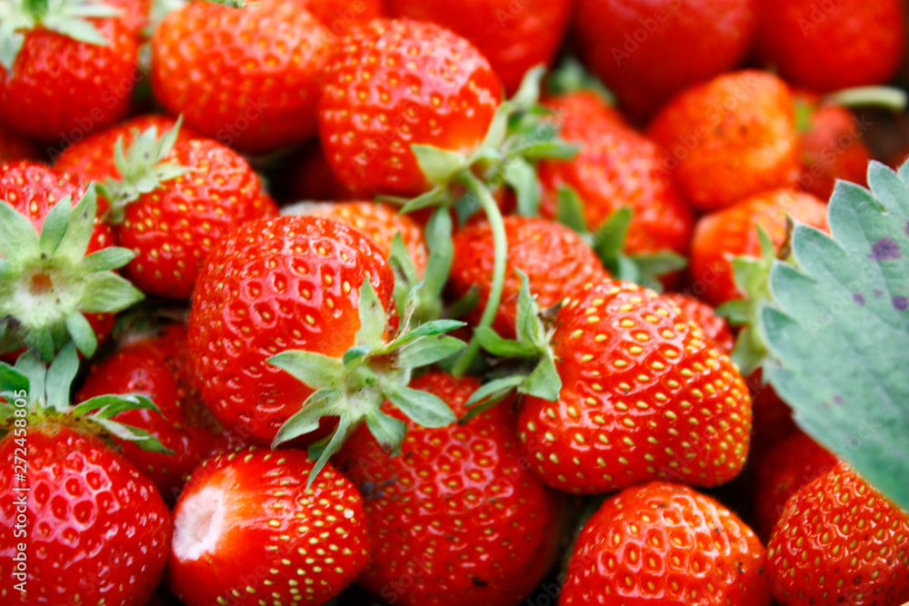 Background of red ripe strawberries. Summer ripe berries, closeup. Background of red ripe strawberries. Summer ripe berries, closeup.
