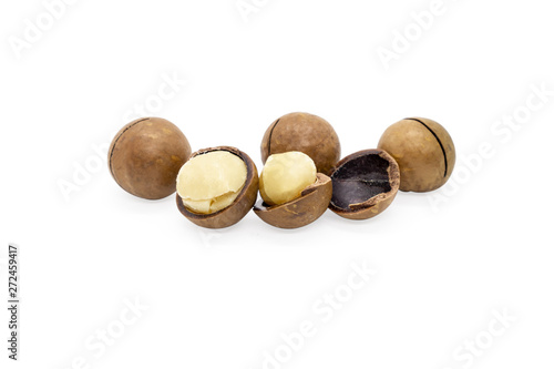 Macadamia nut isolated on white background.