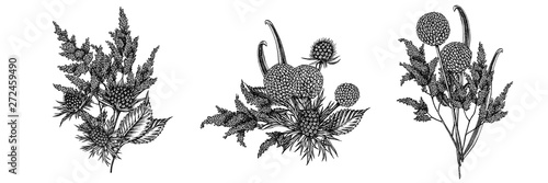 Flower bouquet of black and white astilbe, craspedia, blue eryngo