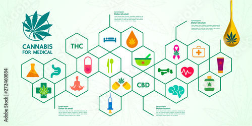 Cannabis for medical vector illustration.