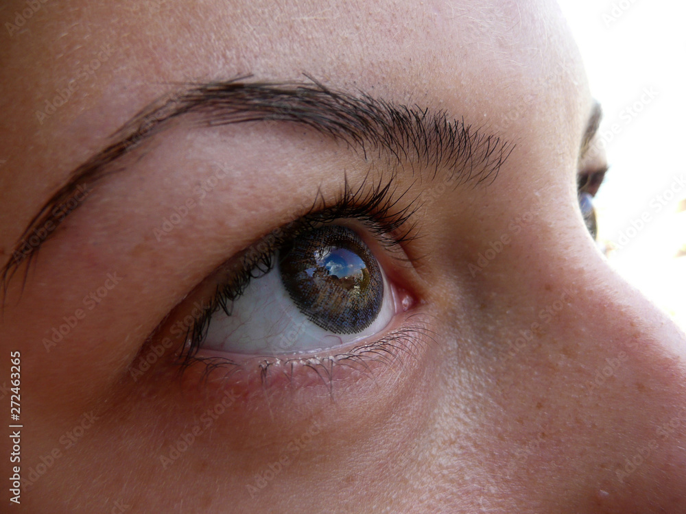 Fototapeta premium Close up of female brown eyes wearing blue lenses, outdoor, bright day, freshly plucked eyebrows