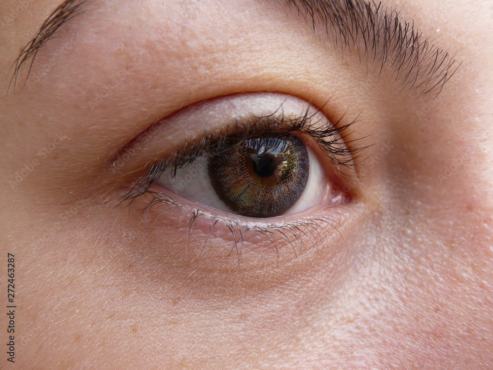 Obraz premium Close up of female brown eyes wearing blue lenses, outdoor, bright day, freshly plucked eyebrows