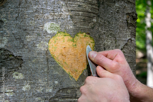 Hand of a young man carving a heart shape on a tree