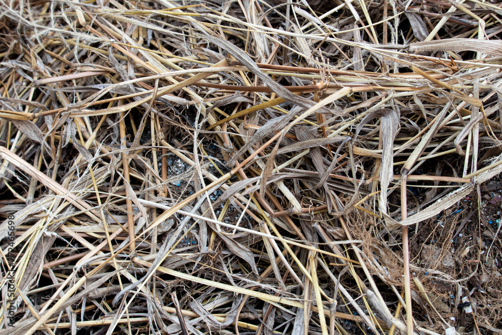 haystack straw photo haystack straw photo
