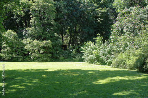 A small glade with trees and a green grass in the city summer park