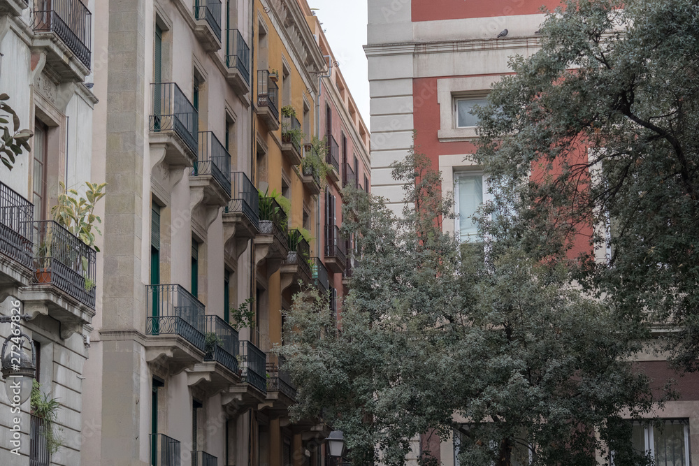 Fototapeta premium in the streets of Barcelona