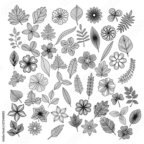 Set of black on white, flowers and leaves isolated. Vector illustration. EPS 10.