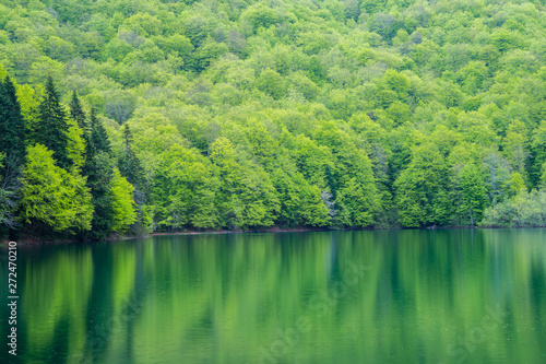 Montenegro, Lake biogradsko in green nature forest landscape of biogradska gora national park in mountains near kolasin
