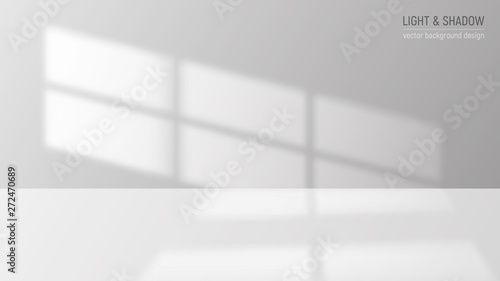 Window Light Background