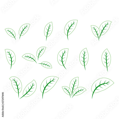 Set of green leaves design elements. Green sprout green leaves symbol icon set.