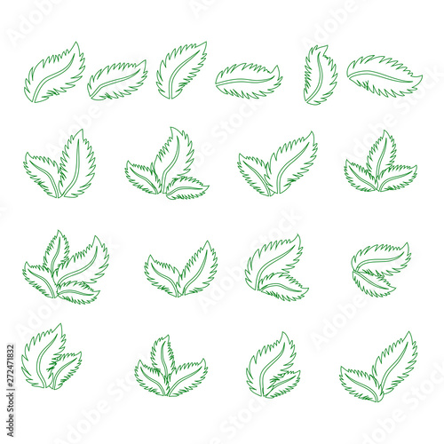 Set of green leaves design elements. Green sprout green leaves symbol icon set.