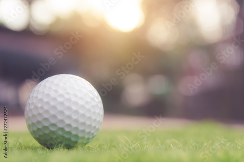 Golf ball on green grass ready to play at golf course. with copy space