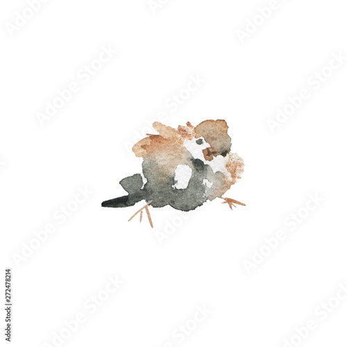 Watercolor realistic sparrow