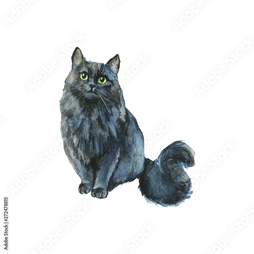 Watercolor grey cat photo