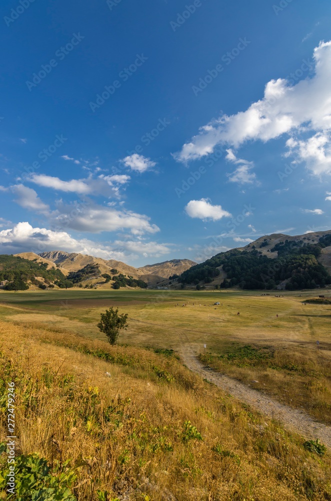 Obraz premium View of the valley in the mountains with summer activities