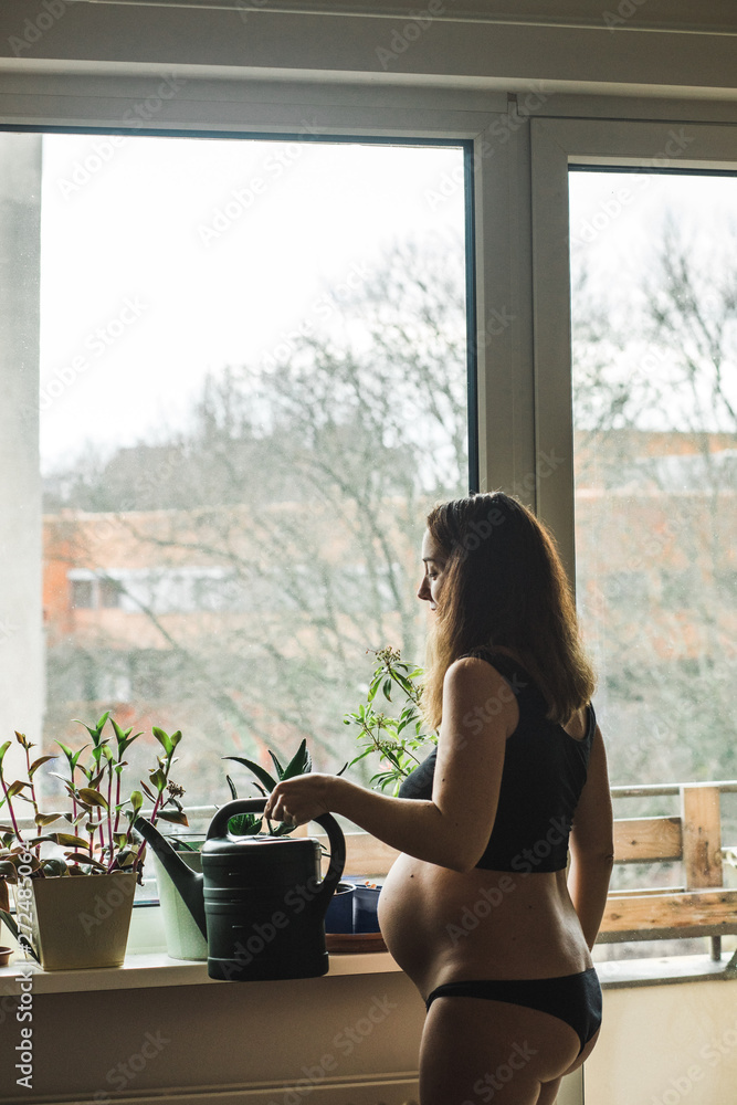 Pregnant woman watering her plants on her window at her home Pregnant woman watering her plants on her window at her home