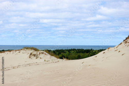 Amazing view to the baltic sea and pine forest from sand dune of Curonian spit  Lithuania