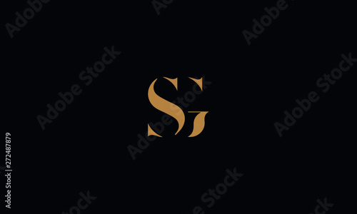 SG logo design template vector illustration