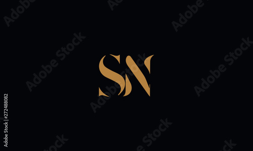 SN logo design template vector illustration