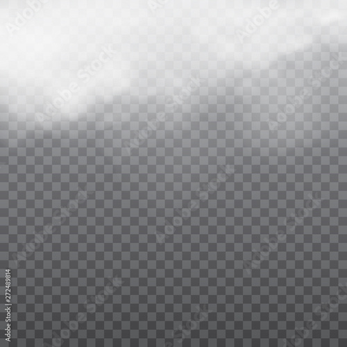 Fog or smoke isolated transparent special effect. Vector