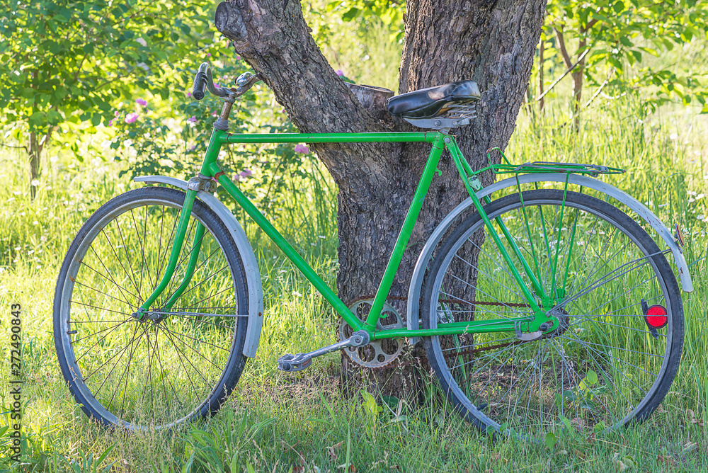 Fototapeta premium Retro bicycle in the summer sunny park