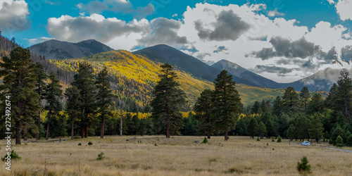 Vibrant Fall Color at Lockett Meadow Near Flagstaff Arizona photo