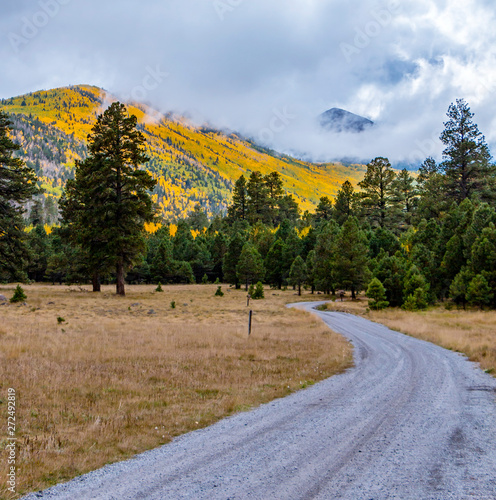 Fall Color on San francisco peaks of Northern Arizona photo