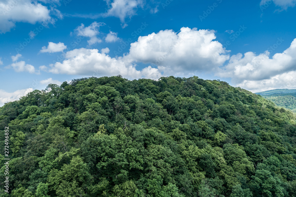 Mountain river among the green Carpathian forest on a bright sunny day.  4704139 Stock Photo at Vecteezy