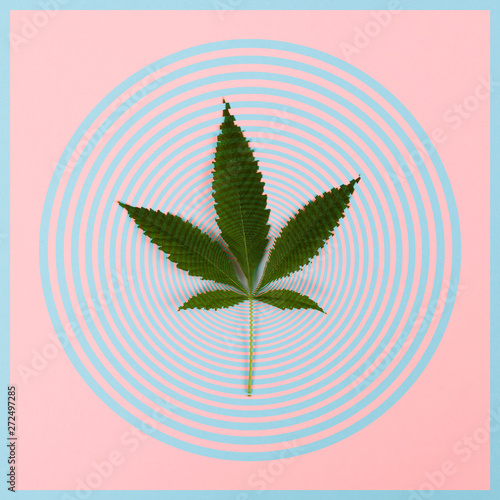 Cannabis Leaf Vertigo photo