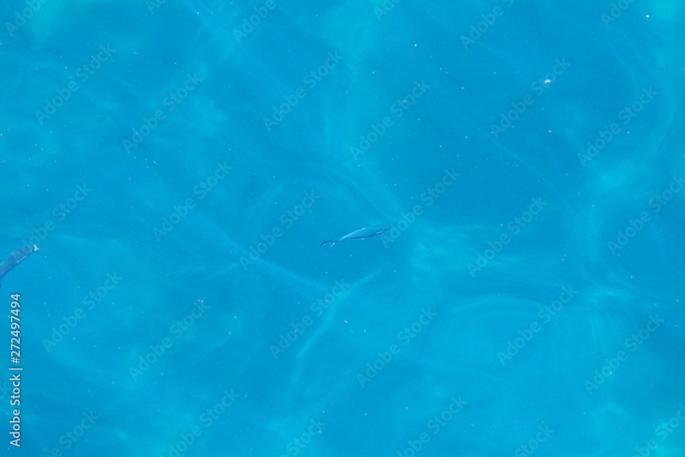Naklejka premium Water Blue Reflection and Fishes