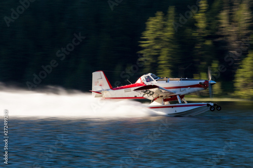 A forest fire fighting floatplane skimming on the surface of a lake to fill it's water tanks