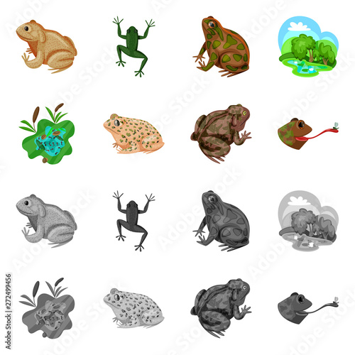 Vector illustration of wildlife and bog sign. Set of wildlife and reptile stock vector illustration.