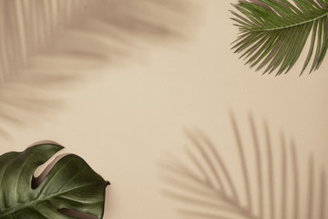Top view of green tropical leaves and shadow on sand color background. Flat lay. Minimal summer concept with palm tree leaf. Creative copyspace.