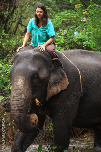 Girl having fun with elephants at Patara Elephant Farm, Chiang Mai, Thailand