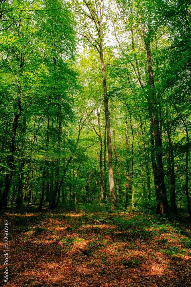 Naklejka premium Reportage photo our l'office du tourisme de la Vallée de Loire et du Cher