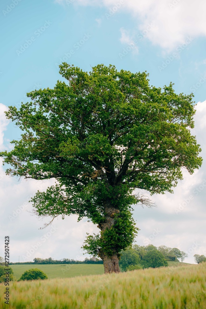 Obraz premium Reportage photo our l'office du tourisme de la Vallée de Loire et du Cher