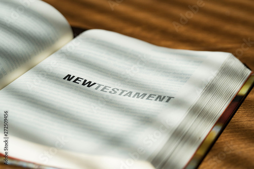Canvastavla new testament open bible
