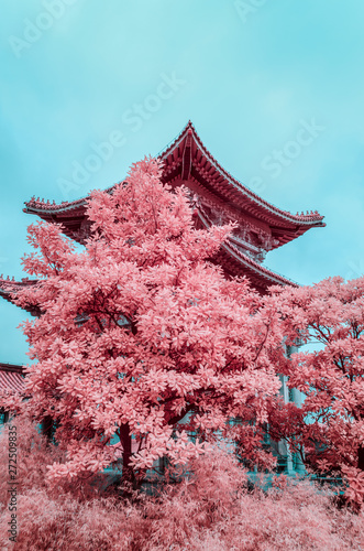 Suzhou gardens, Infrared photography photo