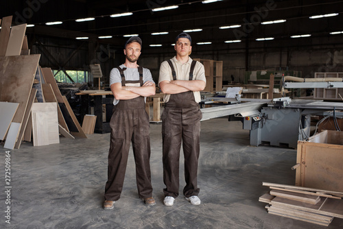Skilled Carpenters At Work photo