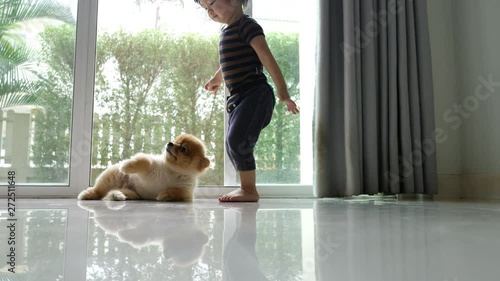 cute child and small dog friendly in home