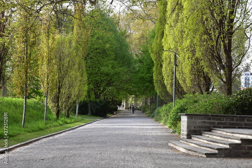 Fototapeta Naklejka Na Ścianę i Meble -  path in the park