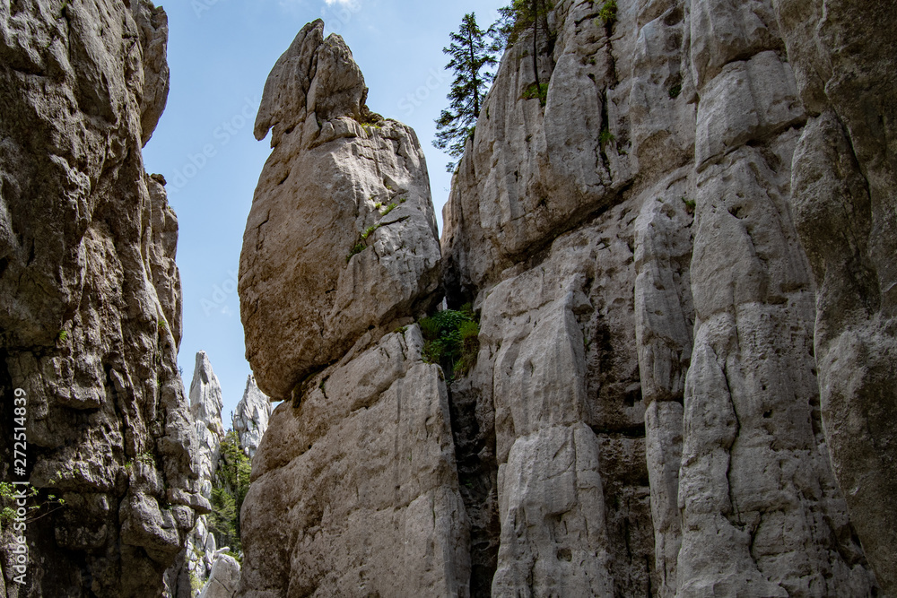 Bijele stijene (White Rocks) is a nature reserve in Croatia famous for its amazing topography. Karst rock formations similar to the stone forest (e.g. Shilin, China) with hundreds of rock pillars.