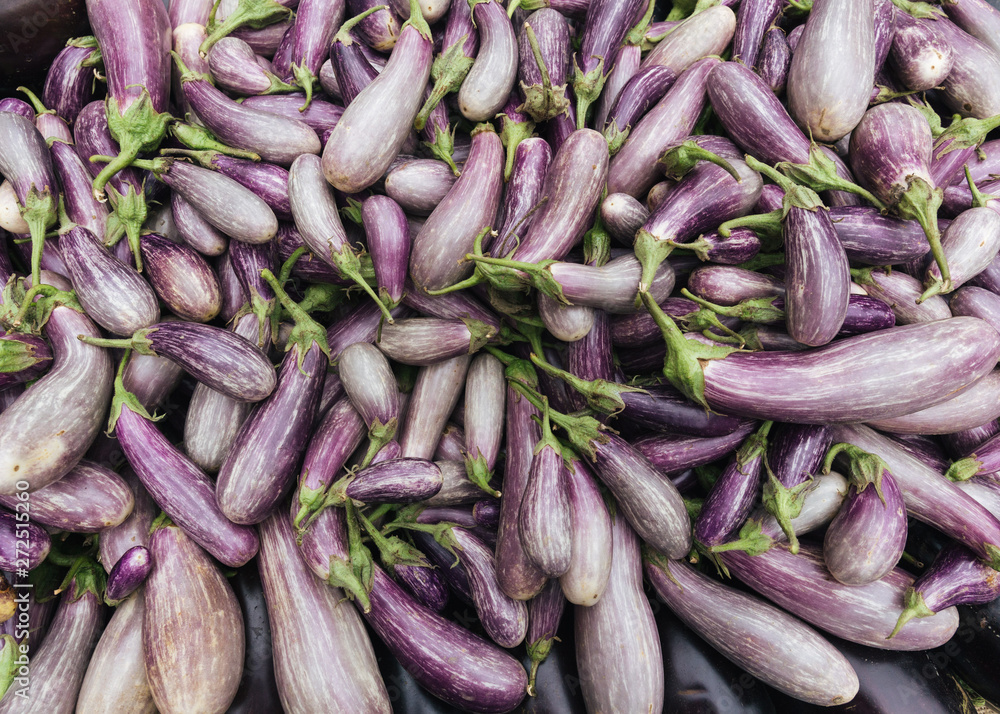 Pile of eggplants at Farmers Market, New York City Pile of eggplants at Farmers Market, New York City
