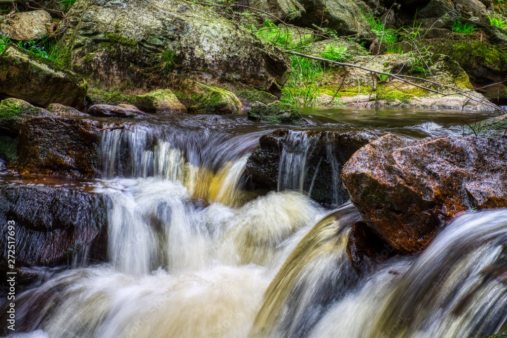 Obraz premium Schwarzwassertal 2