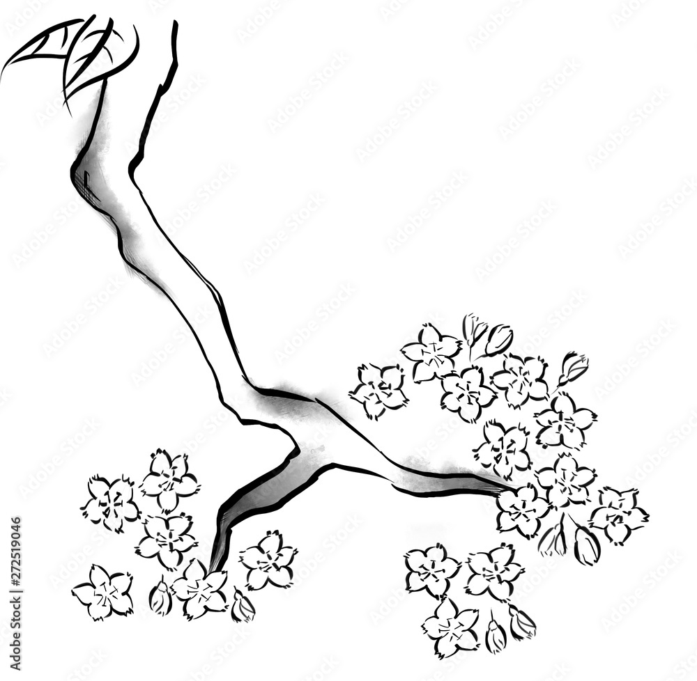 Fototapeta premium Imitation of ink painted branches in black and white with blossoms.