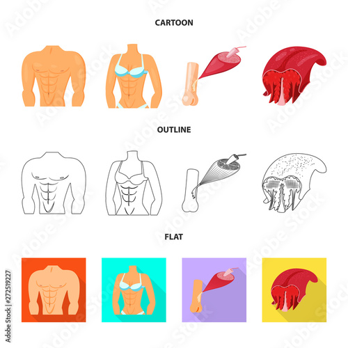 Vector illustration of fiber and muscular sign. Set of fiber and body  vector icon for stock.