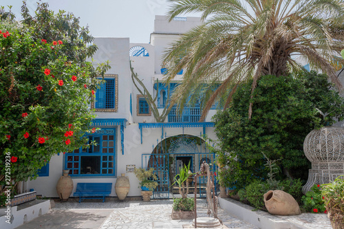 white house, blue door, palm trees in sidi bu said, tunisia, africa