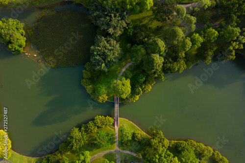 A bridge in a park photo